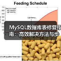MySQL数据库表修复指南：高效解决方法与步骤（图3）