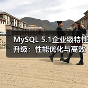 MySQL 5.1企业级特性升级：性能优化与高效管理新突破（图2）