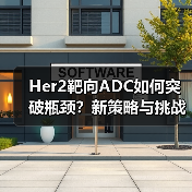 Her2靶向ADC如何突破瓶颈?新策略与挑战解析(图3) Her2靶向ADC如何突破瓶颈?新策略与挑战解析(图3)