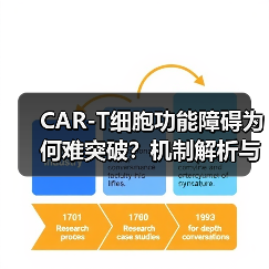 CAR-T细胞功能障碍为何难突破?机制解析与新策略(图4) CAR-T细胞功能障碍为何难突破?机制解析与新策略(图4)