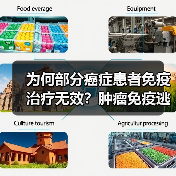 为何部分癌症患者免疫治疗无效？肿瘤免疫逃逸机制与治疗策略全解析（图1）