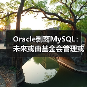 Oracle剥离MySQL:未来或由基金会管理或被收购?(图1) Oracle剥离MySQL:未来或由基金会管理或被收购?(图1)