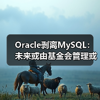 Oracle剥离MySQL:未来或由基金会管理或被收购?(图3) Oracle剥离MySQL:未来或由基金会管理或被收购?(图3)