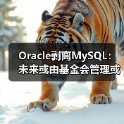 Oracle剥离MySQL:未来或由基金会管理或被收购?(图4) Oracle剥离MySQL:未来或由基金会管理或被收购?(图4)