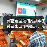 新冠疫苗如何推动中国疫苗出口规模跃升，贸易逆差转顺差？（图3）