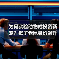 为何实验动物成投资新宠?猴子老鼠身价飙升引热议(图4) 为何实验动物成投资新宠?猴子老鼠身价飙升引热议(图4)