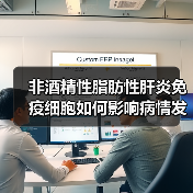非酒精性脂肪性肝炎免疫细胞如何影响病情发展？（图1）