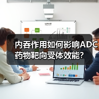 内吞作用如何影响ADC药物靶向受体效能？（图1）