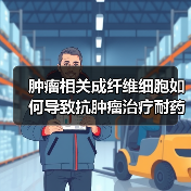 肿瘤相关成纤维细胞如何导致抗肿瘤治疗耐药?(图1) 肿瘤相关成纤维细胞如何导致抗肿瘤治疗耐药?(图1)