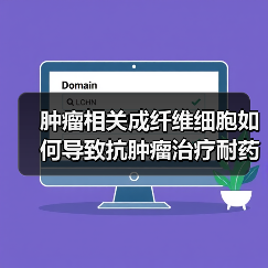 肿瘤相关成纤维细胞如何导致抗肿瘤治疗耐药?(图4) 肿瘤相关成纤维细胞如何导致抗肿瘤治疗耐药?(图4)