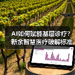 AI如何赋能基层诊疗?新余智慧医疗破解标准化与效率难题(图1) AI如何赋能基层诊疗?新余智慧医疗破解标准化与效率难题(图1)