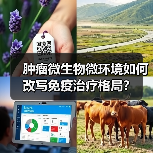 肿瘤微生物微环境如何改写免疫治疗格局?(图1) 肿瘤微生物微环境如何改写免疫治疗格局?(图1)