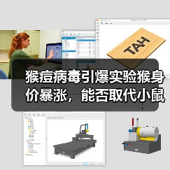 猴痘病毒引爆实验猴身价暴涨，能否取代小鼠？（图4）