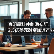 宜明昂科冲刺港交所:2.5亿美元融资加速产业化步伐(图4) 宜明昂科冲刺港交所:2.5亿美元融资加速产业化步伐(图4)