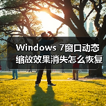 Windows 7窗口动态缩放效果消失怎么恢复?(图2) Windows 7窗口动态缩放效果消失怎么恢复?(图2)