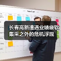 长春高新遭遇业绩疲软 集采之外的危机浮现（图2）