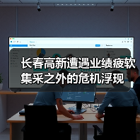 长春高新遭遇业绩疲软 集采之外的危机浮现（图4）