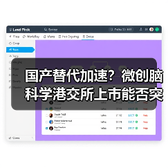 国产替代加速?微创脑科学港交所上市能否突围?(图2) 国产替代加速?微创脑科学港交所上市能否突围?(图2)
