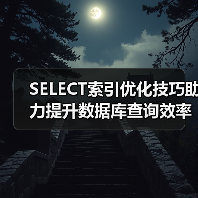 SELECT索引优化技巧助力提升数据库查询效率(图4) SELECT索引优化技巧助力提升数据库查询效率(图4)