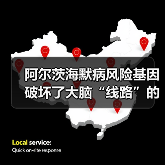 阿尔茨海默病风险基因破坏了大脑“线路”的绝缘体(图1) 阿尔茨海默病风险基因破坏了大脑“线路”的绝缘体(图1)