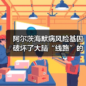 阿尔茨海默病风险基因破坏了大脑“线路”的绝缘体(图2) 阿尔茨海默病风险基因破坏了大脑“线路”的绝缘体(图2)