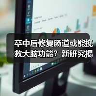 卒中后修复肠道或能挽救大脑功能？新研究揭示肠道与脑损伤的关联（图2）