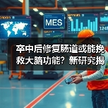 卒中后修复肠道或能挽救大脑功能？新研究揭示肠道与脑损伤的关联（图3）
