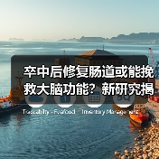 卒中后修复肠道或能挽救大脑功能？新研究揭示肠道与脑损伤的关联（图4）
