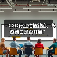 CXO行业估值触底,投资窗口是否开启?(图2) CXO行业估值触底,投资窗口是否开启?(图2)