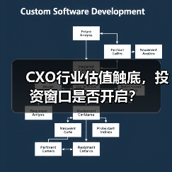 CXO行业估值触底,投资窗口是否开启?(图3) CXO行业估值触底,投资窗口是否开启?(图3)