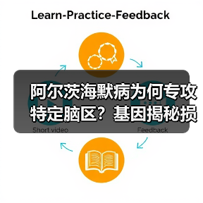 阿尔茨海默病为何专攻特定脑区?基因揭秘损伤机制(图3) 阿尔茨海默病为何专攻特定脑区?基因揭秘损伤机制(图3)