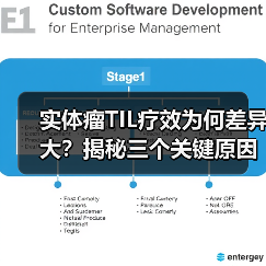 实体瘤TIL疗效为何差异大?揭秘三个关键原因(图4) 实体瘤TIL疗效为何差异大?揭秘三个关键原因(图4)