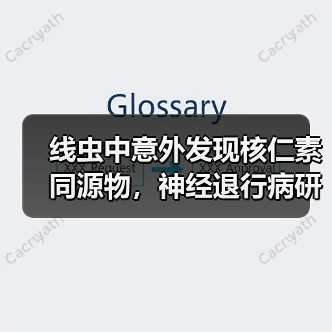 线虫中意外发现核仁素同源物,神经退行病研究或迎来新突破?(图4) 线虫中意外发现核仁素同源物,神经退行病研究或迎来新突破?(图4)