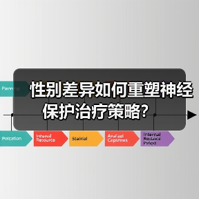 性别差异如何重塑神经保护治疗策略?(图1) 性别差异如何重塑神经保护治疗策略?(图1)