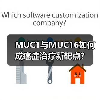 MUC1与MUC16如何成癌症治疗新靶点?(图1) MUC1与MUC16如何成癌症治疗新靶点?(图1)