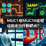 MUC1与MUC16如何成癌症治疗新靶点?(图3) MUC1与MUC16如何成癌症治疗新靶点?(图3)