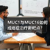 MUC1与MUC16如何成癌症治疗新靶点?(图4) MUC1与MUC16如何成癌症治疗新靶点?(图4)
