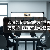 印度如何崛起成为 印度如何崛起成为