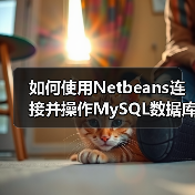 如何使用Netbeans连接并操作MySQL数据库?(图1) 如何使用Netbeans连接并操作MySQL数据库?(图1)