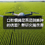 口腔细菌是否是脑脓肿的诱因?新研究揭示潜在关联(图1) 口腔细菌是否是脑脓肿的诱因?新研究揭示潜在关联(图1)
