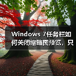Windows 7任务栏如何关闭缩略图预览，只显示文字提示？（图1）