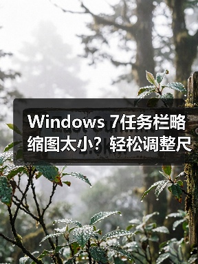Windows 7任务栏略缩图太小?轻松调整尺寸方法(图3) Windows 7任务栏略缩图太小?轻松调整尺寸方法(图3)