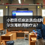 小胶质细胞激活或成阿尔茨海默病新疗法?(图1) 小胶质细胞激活或成阿尔茨海默病新疗法?(图1)