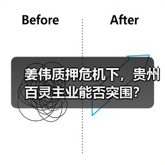 姜伟质押危机下,贵州百灵主业能否突围?(图1) 姜伟质押危机下,贵州百灵主业能否突围?(图1)