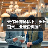 姜伟质押危机下,贵州百灵主业能否突围?(图3) 姜伟质押危机下,贵州百灵主业能否突围?(图3)