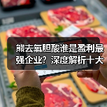 熊去氧胆酸谁是盈利最强企业？深度解析十大制药公司财务表现（图4）