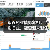 紫鑫药业债务危机：告别旧业，能否迎来新生？（图2）