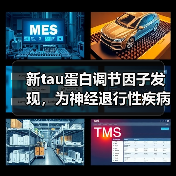 新tau蛋白调节因子发现，为神经退行性疾病治疗带来突破（图2）