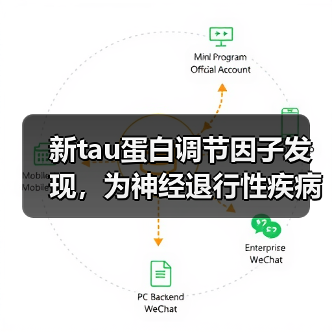 新tau蛋白调节因子发现，为神经退行性疾病治疗带来突破（图3）