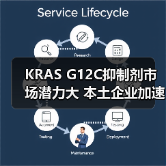KRAS G12C抑制剂市场潜力大 本土企业加速研发能否抢占先机?(图3) KRAS G12C抑制剂市场潜力大 本土企业加速研发能否抢占先机?(图3)